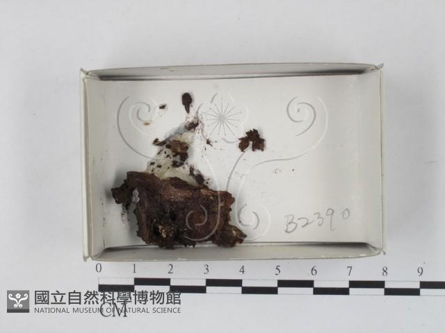 登錄號:F0019857藏品圖，第1張