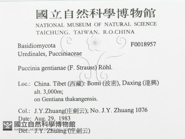 登錄號:F0018957藏品圖，第3張