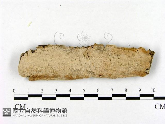 登錄號:F0001957藏品圖，第1張