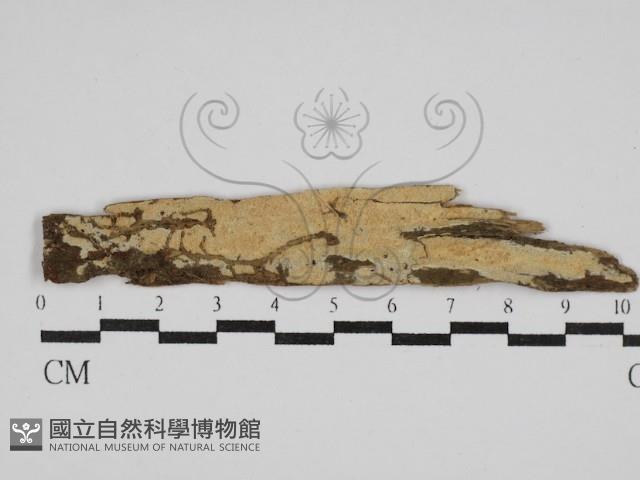 登錄號:F0029957藏品圖，第1張
