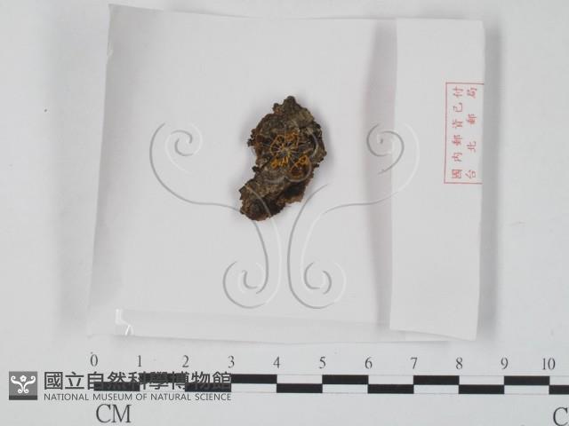 登錄號:F0009957藏品圖，第1張