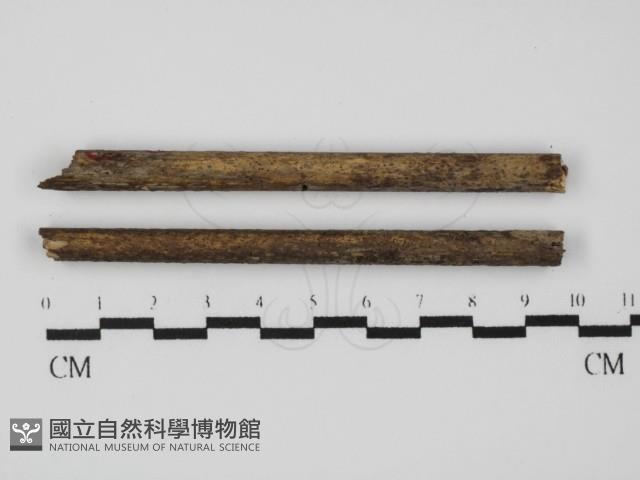 登錄號:F0019957藏品圖，第1張