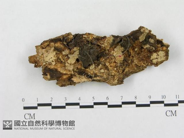 登錄號:F0003957藏品圖，第1張