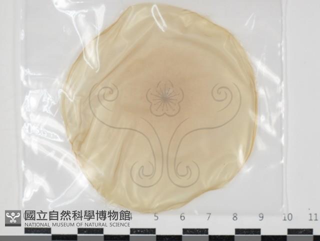 登錄號:F0034657藏品圖，第1張