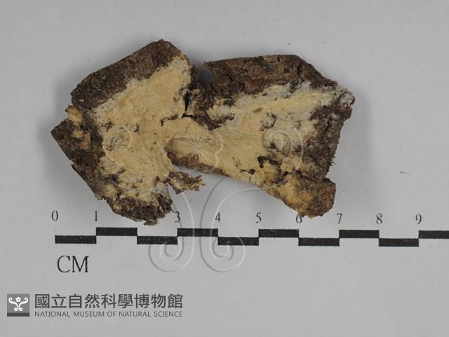 登錄號:F0029657藏品圖，第1張