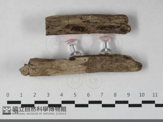 登錄號:F0033657藏品圖，第1張