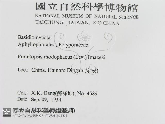 登錄號:F0016457藏品圖，第3張