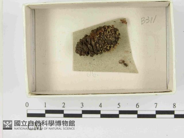 登錄號:F0021457藏品圖，第1張