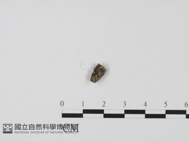 登錄號:F0004457藏品圖，第1張