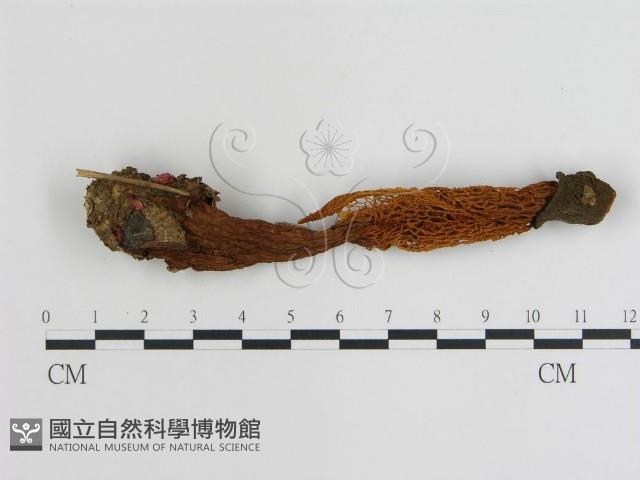 登錄號:F0000757藏品圖，第1張