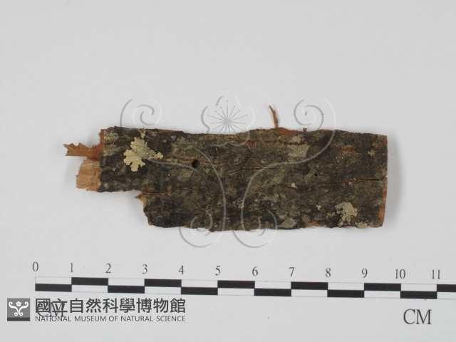 登錄號:F0011757藏品圖，第1張