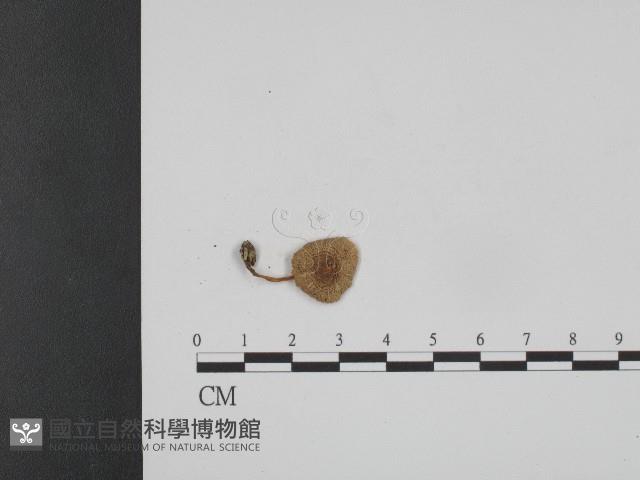 登錄號:F0004757藏品圖，第1張
