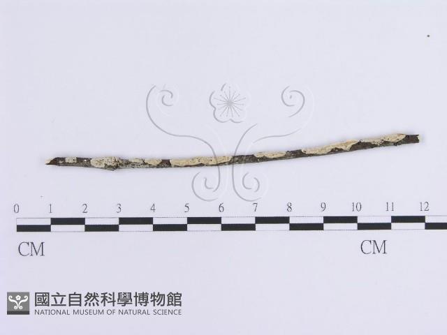 登錄號:F0014757藏品圖，第1張