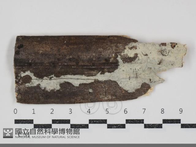 登錄號:F0034757藏品圖，第1張