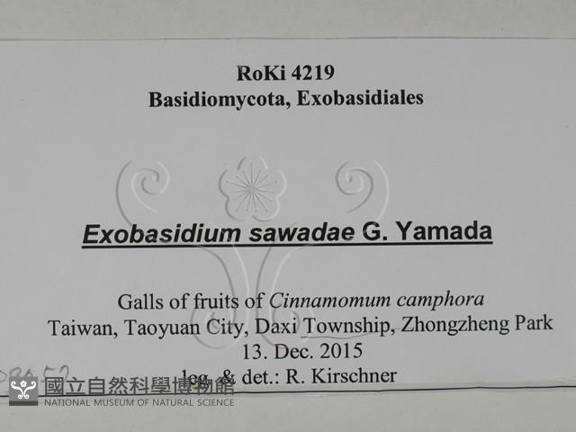 登錄號:F0029757藏品圖，第3張