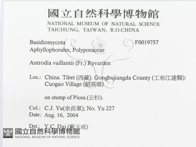 登錄號:F0019757藏品圖，第3張