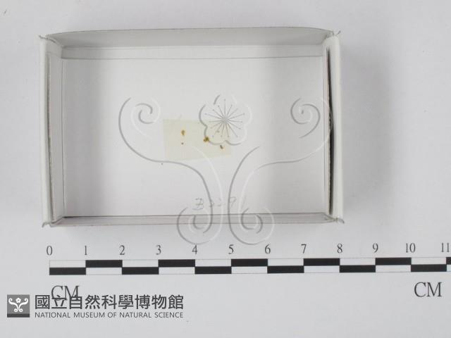 登錄號:F0018557藏品圖，第1張