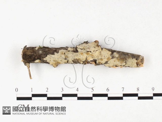 登錄號:F0026557藏品圖，第1張