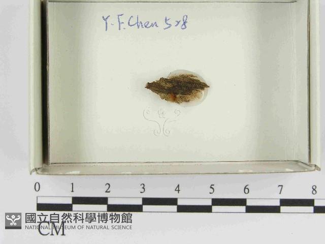 登錄號:F0021557藏品圖，第1張