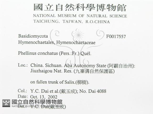 登錄號:F0017557藏品圖，第3張