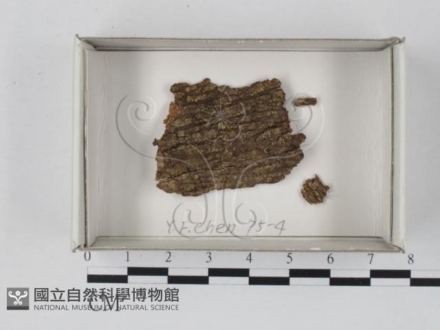 館號:F0018157藏品圖，第1張