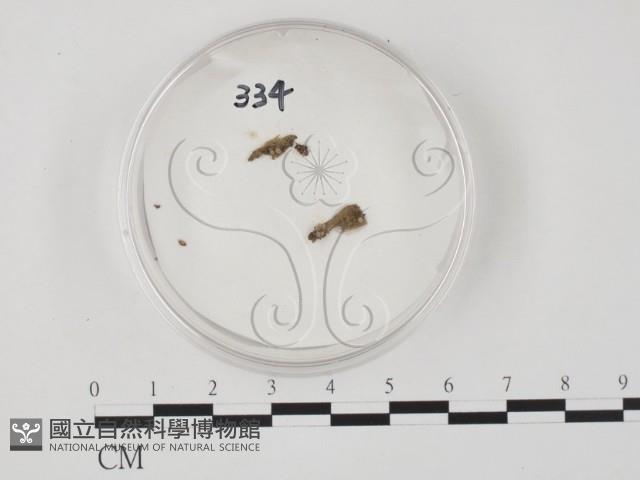 登錄號:F0005157藏品圖，第1張