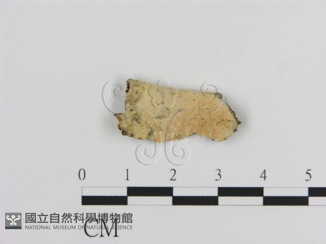 登錄號:F0009057藏品圖，第1張