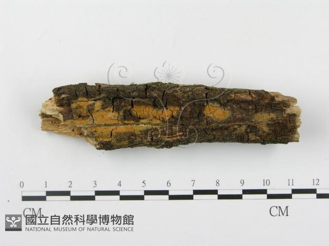 登錄號:F0003057藏品圖，第1張