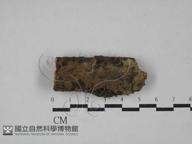 登錄號:F0029357藏品圖，第1張