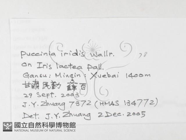 登錄號:F0026247藏品圖，第3張