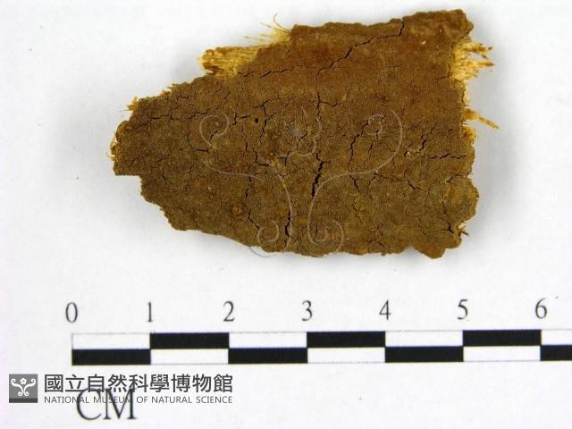 登錄號:F0006247藏品圖，第1張