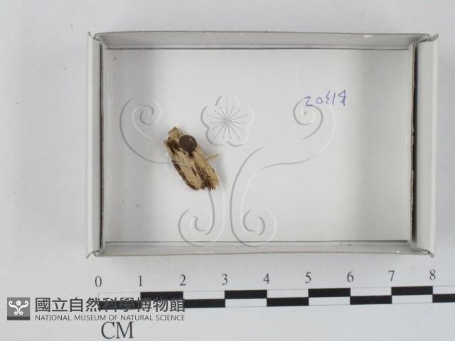 登錄號:F0021247藏品圖，第1張