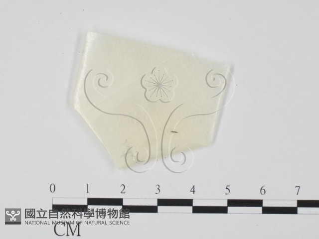 登錄號:F0002247藏品圖，第1張
