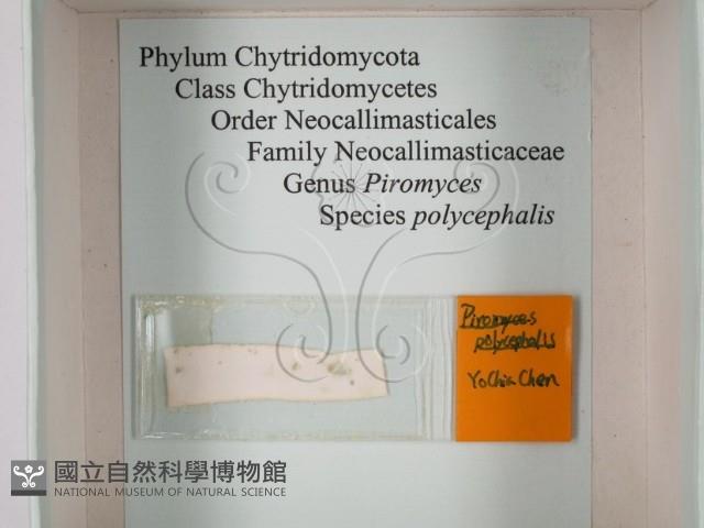 登錄號:F0012247藏品圖，第1張