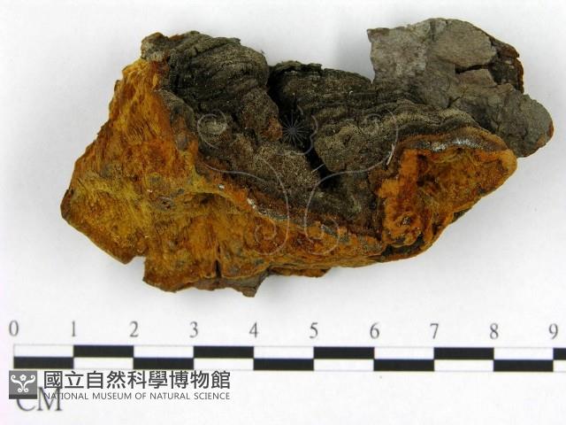 登錄號:F0018847藏品圖，第1張