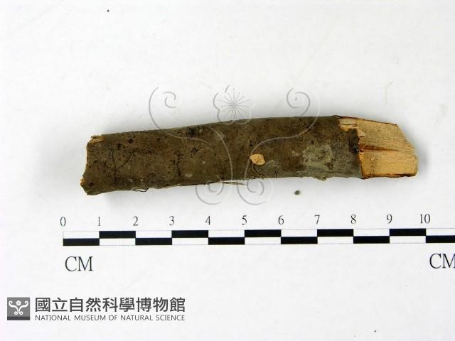 登錄號:F0022847藏品圖，第1張