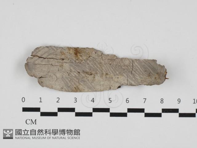 登錄號:F0032847藏品圖，第1張
