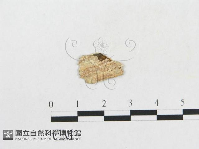 登錄號:F0017847藏品圖，第1張