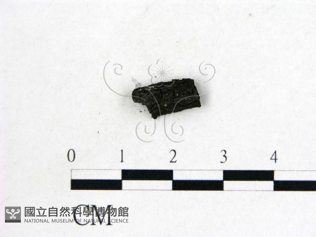 登錄號:F0009847藏品圖，第1張