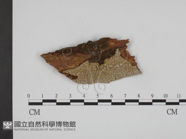 登錄號:F0003847藏品圖，第1張