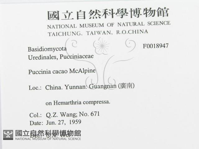 登錄號:F0018947藏品圖，第3張