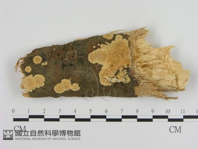 登錄號:F0000947藏品圖，第1張
