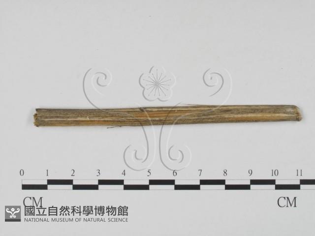 登錄號:F0011947藏品圖，第1張