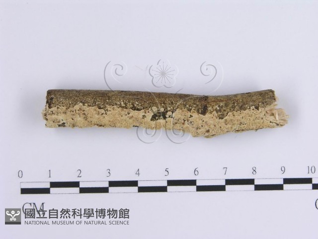 登錄號:F0002947藏品圖，第1張