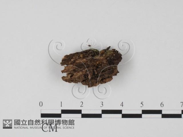登錄號:F0009947藏品圖，第1張