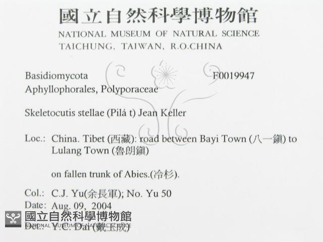 登錄號:F0019947藏品圖，第3張