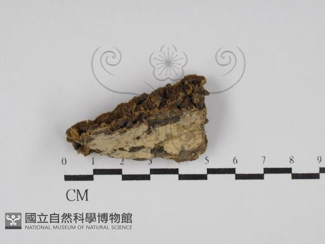 登錄號:F0023947藏品圖，第1張