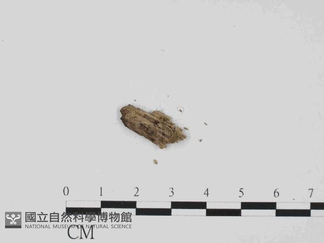 登錄號:F0014647藏品圖，第1張