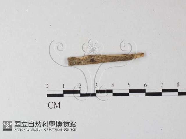 登錄號:F0007647藏品圖，第1張
