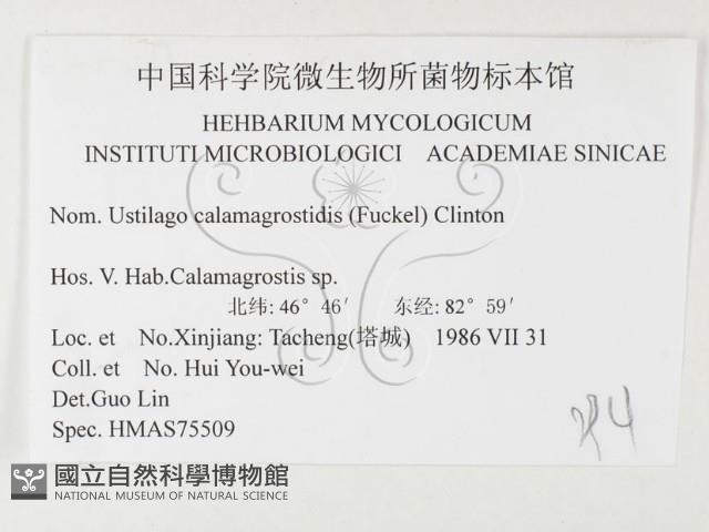 登錄號:F0026447藏品圖，第3張